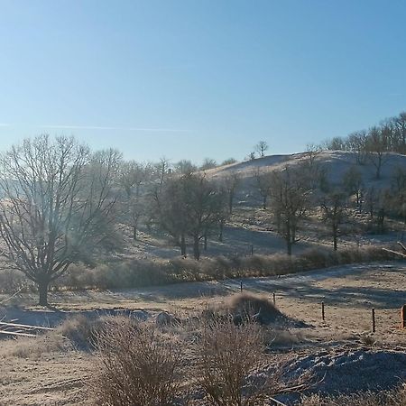 Pension Freudenthal Wandersleben Dış mekan fotoğraf
