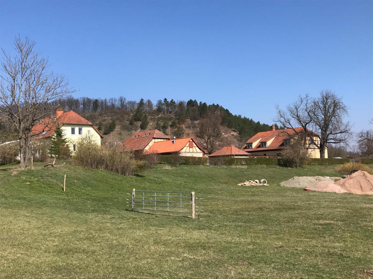 Pension Freudenthal Wandersleben Dış mekan fotoğraf