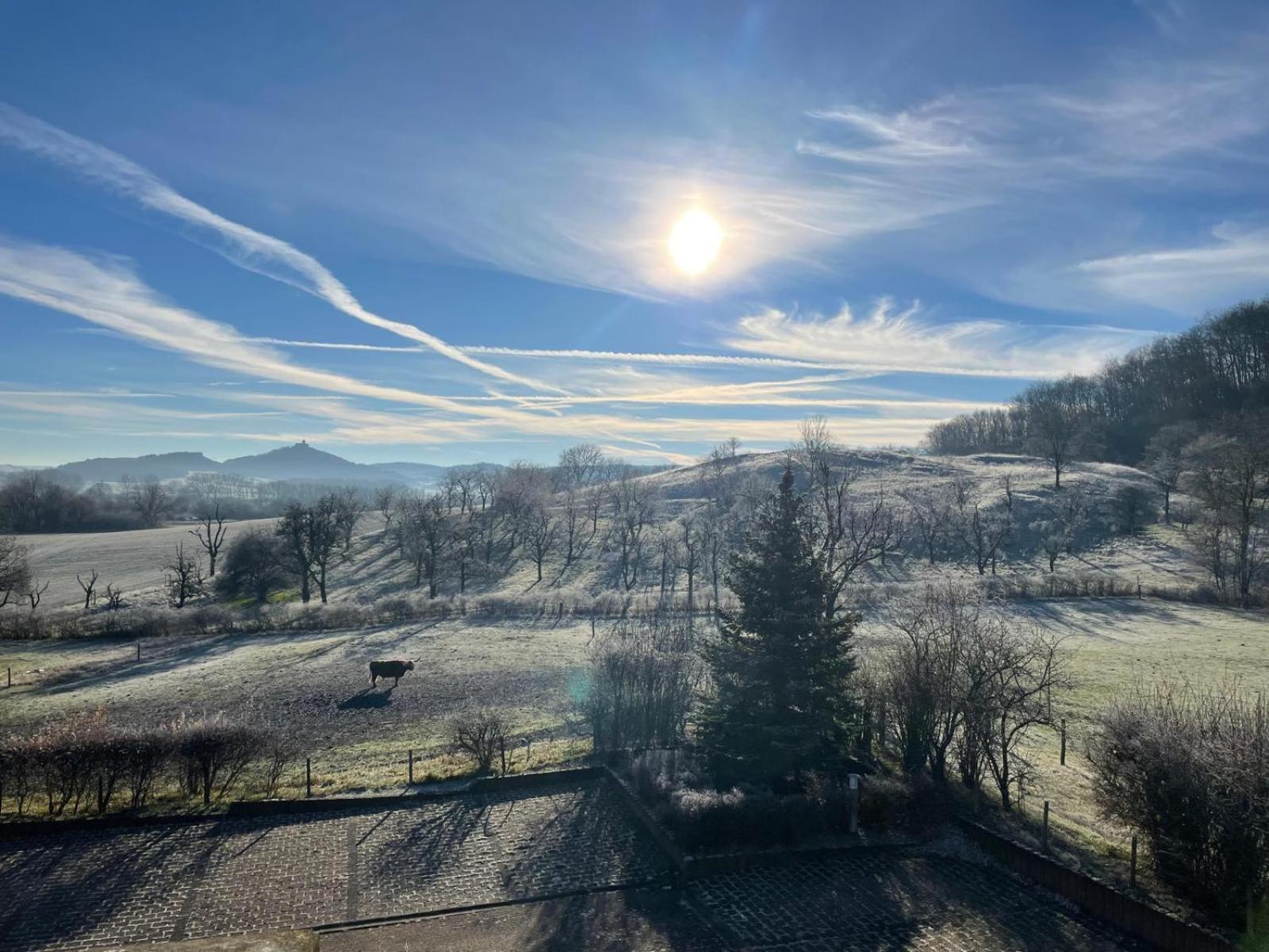 Pension Freudenthal Wandersleben Dış mekan fotoğraf